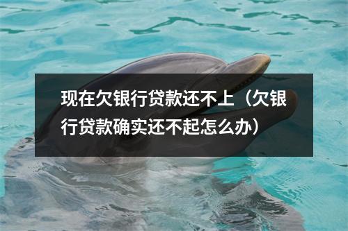 现在欠银行贷款还不上（欠银行贷款确实还不起怎么办）
