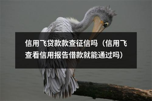 信用飞贷款款查征信吗（信用飞查看信用报告借款就能通过吗）
