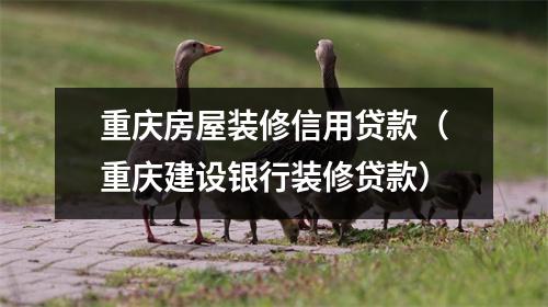 重庆房屋装修信用贷款（重庆建设银行装修贷款）