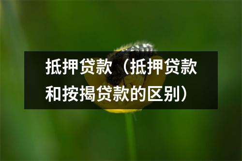 抵押贷款（抵押贷款和按揭贷款的区别）