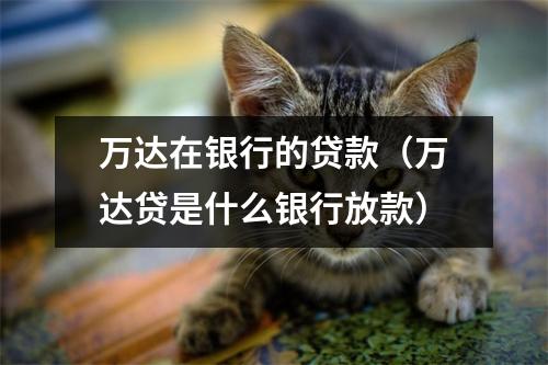 万达在银行的贷款(万达贷是什么银行放款)