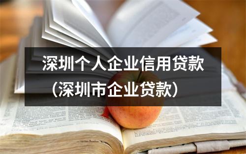 深圳个人企业信用贷款（深圳市企业贷款）