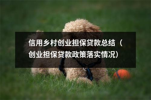 信用乡村创业担保贷款总结（创业担保贷款政策落实情况）