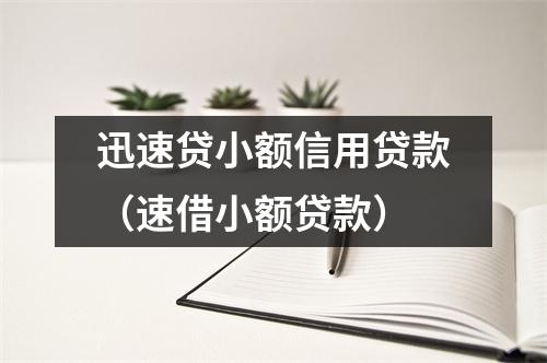 迅速贷小额信用贷款(速借小额贷款)