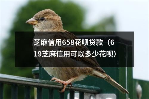 芝麻信用658花呗贷款（619芝麻信用可以多少花呗）
