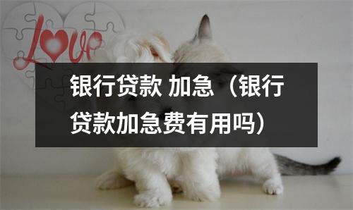 银行贷款 加急（银行贷款加急费有用吗）
