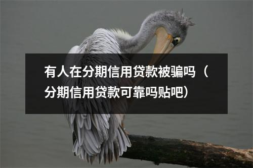 有人在分期信用贷款被骗吗（分期信用贷款可靠吗贴吧）