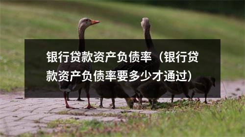 银行贷款资产负债率（银行贷款资产负债率要多少才通过）