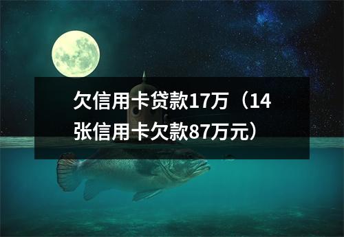 欠信用卡贷款17万（14张信用卡欠款87万元）