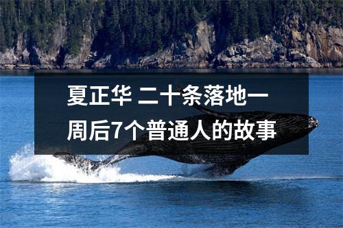 夏正华 二十条落地一周后7个普通人的故事