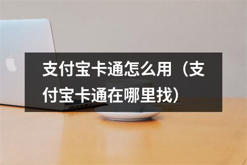 支付宝卡通怎么用（支付宝卡通在哪里找）