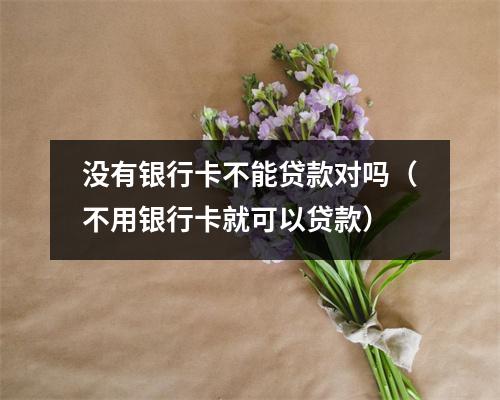 没有银行卡不能贷款对吗(不用银行卡就可以贷款)