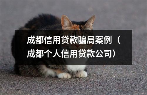成都信用贷款骗局案例（成都个人信用贷款公司）