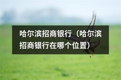 哈尔滨招商银行（哈尔滨招商银行在哪个位置）