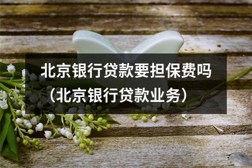 北京银行贷款要担保费吗（北京银行贷款业务）