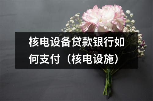 核电设备贷款银行如何支付(核电设施)
