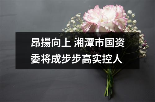 昂揚向上 湘潭市国资委将成步步高实控人
