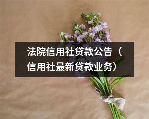 法院信用社贷款公告(信用社最新贷款业务)