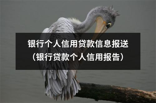 银行个人信用贷款信息报送(银行贷款个人信用报告)