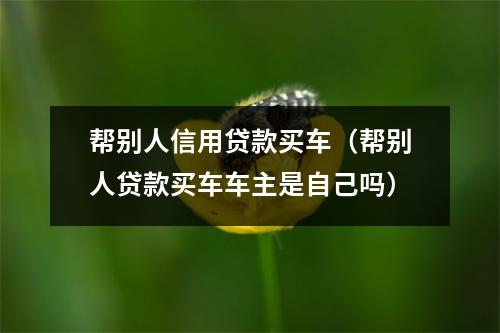 帮别人信用贷款买车（帮别人贷款买车车主是自己吗）