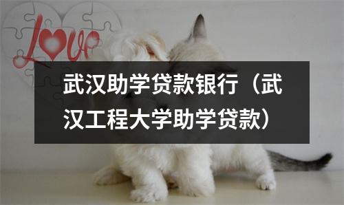 武汉助学贷款银行(武汉工程大学助学贷款)