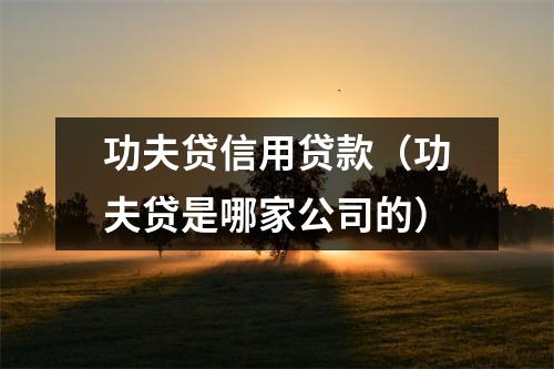 功夫贷信用贷款（功夫贷是哪家公司的）