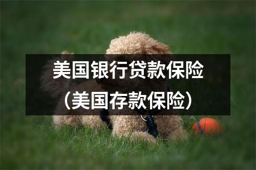 美国银行贷款保险（美国存款保险）