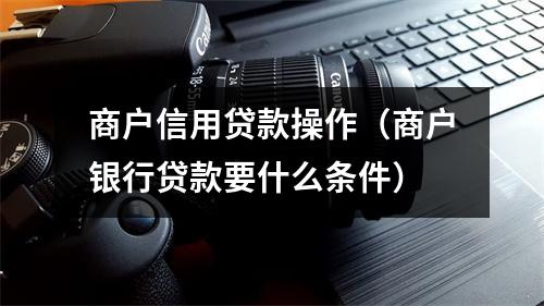 商户信用贷款操作（商户银行贷款要什么条件）