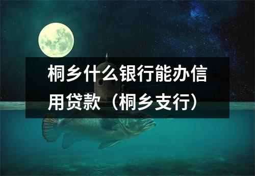 桐乡什么银行能办信用贷款(桐乡支行)