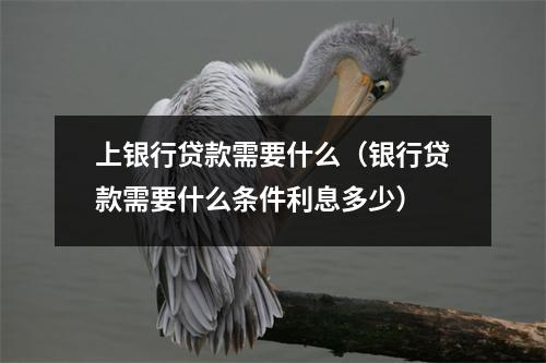 上银行贷款需要什么（银行贷款需要什么条件利息多少）