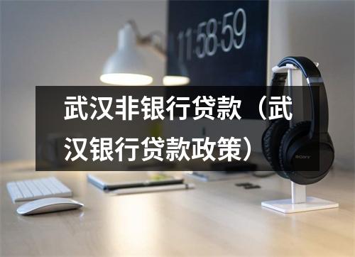 武汉非银行贷款（武汉银行贷款政策）