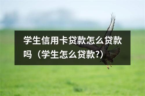 学生信用卡贷款怎么贷款吗（学生怎么贷款?）