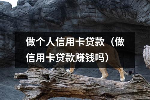 做个人信用卡贷款（做信用卡贷款赚钱吗）
