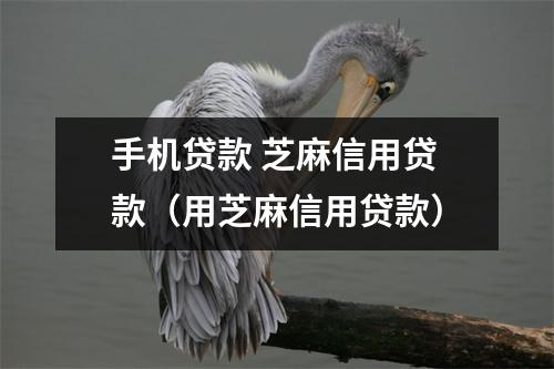 手机贷款 芝麻信用贷款（用芝麻信用贷款）