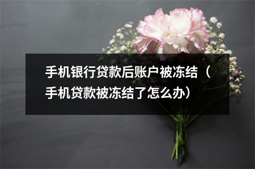 手机银行贷款后账户被冻结（手机贷款被冻结了怎么办）