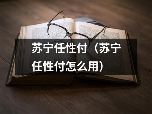 苏宁任性付（苏宁任性付怎么用）