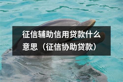 征信辅助信用贷款什么意思（征信协助贷款）