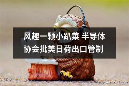 风趣一颗小趴菜 半导体协会批美日荷出口管制