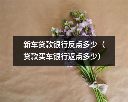 新车贷款银行反点多少（贷款买车银行返点多少）