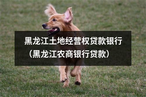 黑龙江土地经营权贷款银行（黑龙江农商银行贷款）