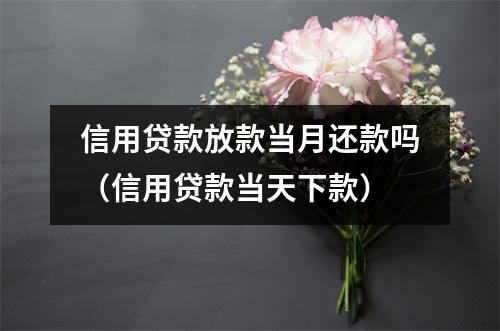 信用贷款放款当月还款吗（信用贷款当天下款）