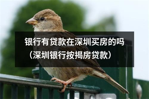 银行有贷款在深圳买房的吗（深圳银行按揭房贷款）