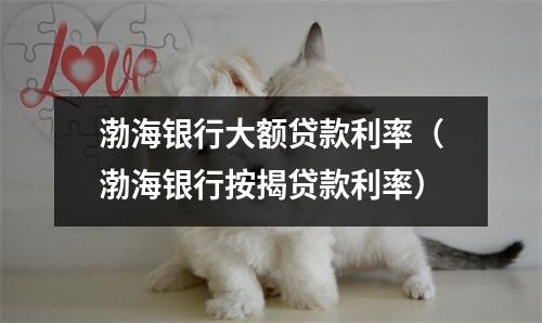 渤海银行大额贷款利率（渤海银行按揭贷款利率）