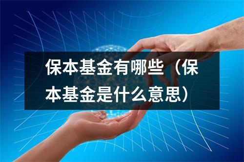 保本基金有哪些（保本基金是什么意思）