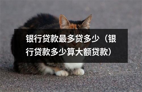 银行贷款最多贷多少（银行贷款多少算大额贷款）