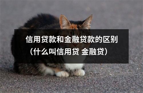 信用贷款和金融贷款的区别（什么叫信用贷 金融贷）