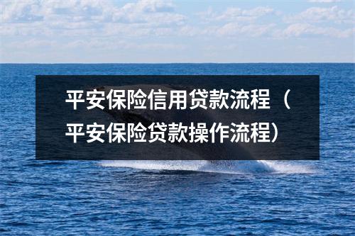 平安保险信用贷款流程（平安保险贷款操作流程）