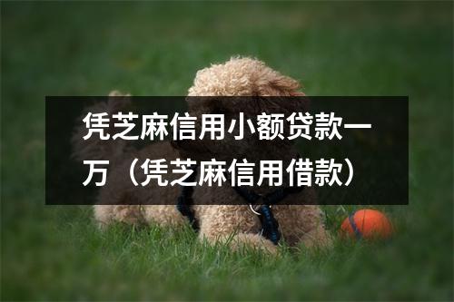 凭芝麻信用小额贷款一万（凭芝麻信用借款）