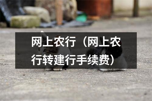 网上农行（网上农行转建行手续费）