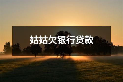 姑姑欠银行贷款